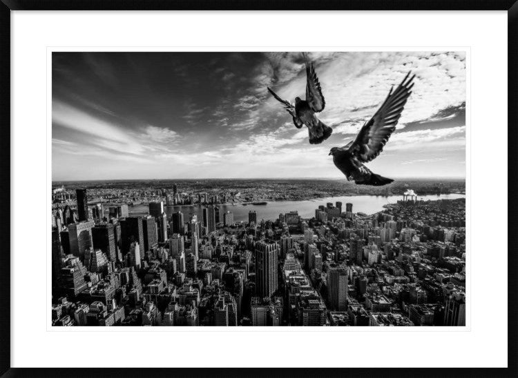 "Pigeons On The Empire State Building"  by Sergiosousa, 38x27"