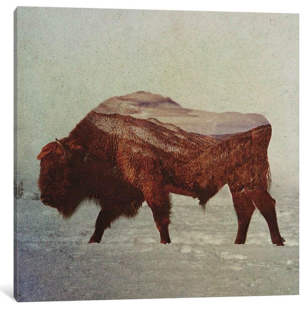 "Bison II" by Andreas Lie, Canvas Print, 18"x18"