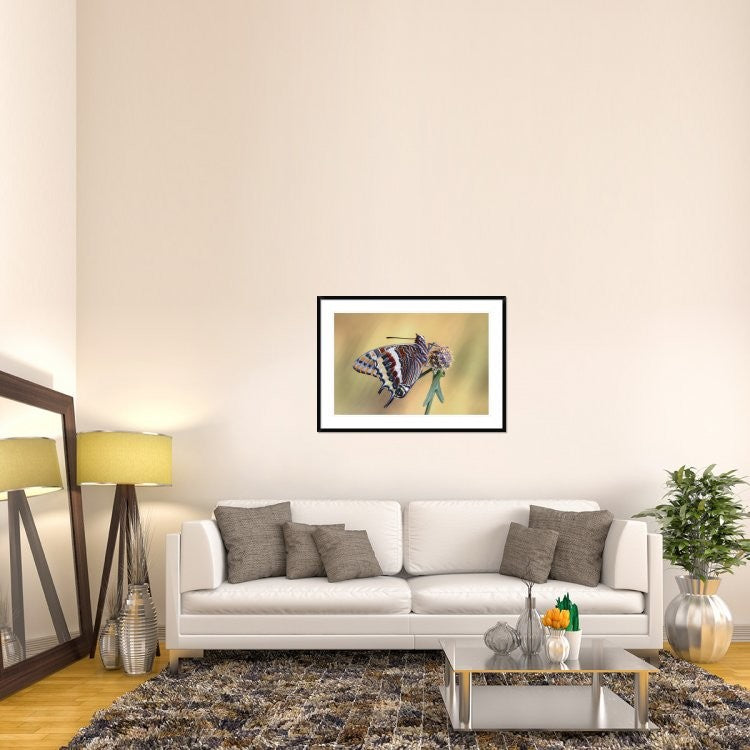 "La Mariposa Del Madroa" Framed Digital Print by Jimmy Hoffman, 44x32"
