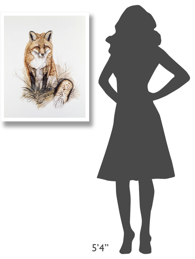 "Red Fox" Digital Paper Print by Jacquie Vaux, 24"x30"