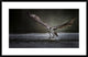 "Deadly Catch" Framed Digital Print by Phillip Chang, 38x24"