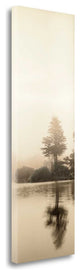 "Lakeside Tree - 1" By Alan Blaustein, Giclee Print on Gallery Wrap Canvas