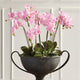 Realistic Phalaenopsis Orchid Drop-In with Root Ball, 30"
