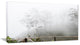 Fogs on Western Ghats Hills, Landscape Canvas Art Print, 40x20