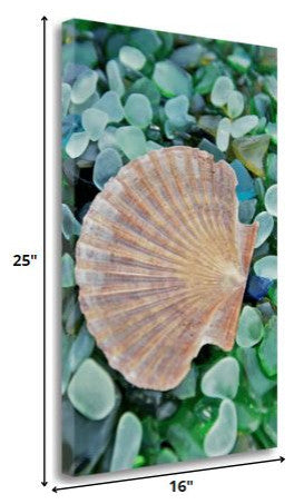 25" Seashell and Seaglass Giclee Wrap Canvas Wall Art
