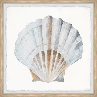 "Pretty White Shell" Framed Painting Print, 18"x18"