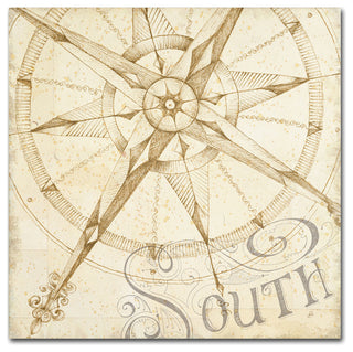 'Coast to Coast Sepia II' Canvas Art by Daphne Brissonnet