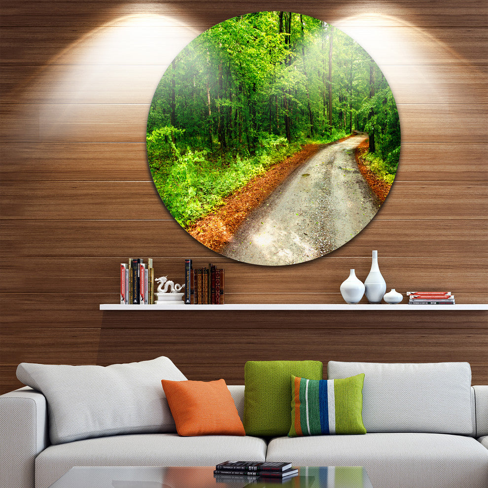 Pathway In Deep Moss Forest, Landscape Round Metal Wall Art, 23"