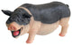Laughing Pig Statue