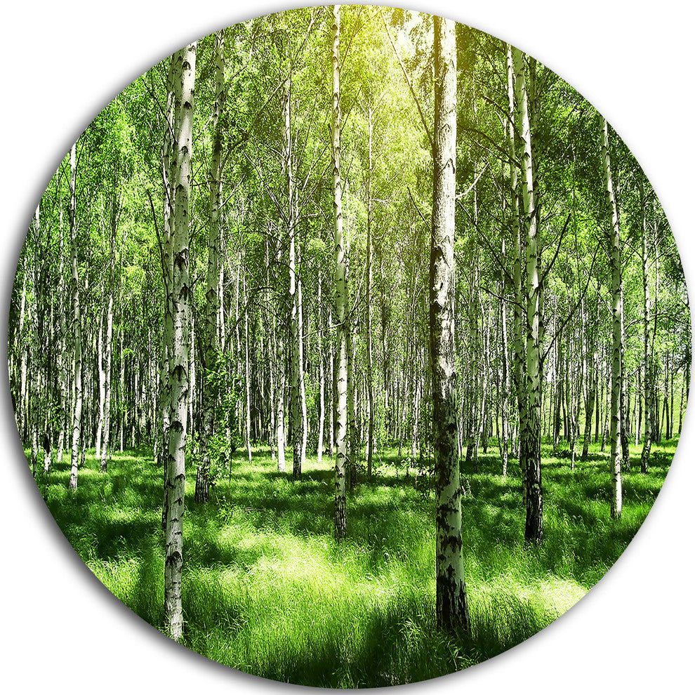 Beautiful Birch Grove, Landscape Round Metal Wall Art, 11"