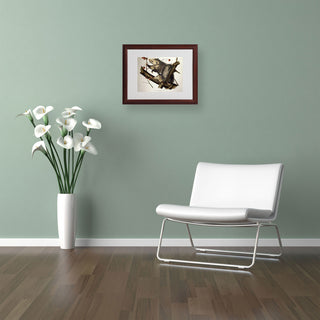 'Virginian Opossum' Matted Framed Canvas Art by John James Audubon