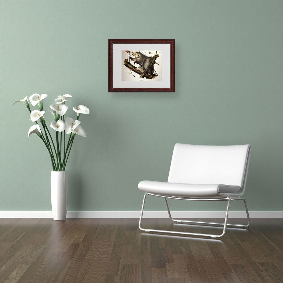'Virginian Opossum' Matted Framed Canvas Art by John James Audubon