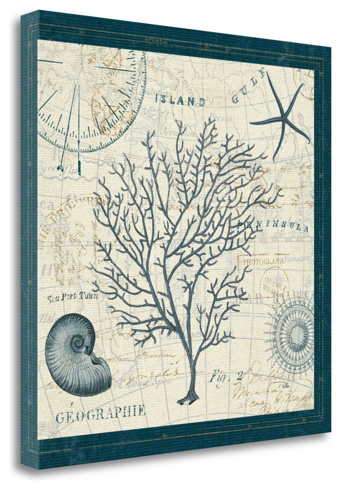 "Ocean Life IV" By Pela Err, Giclee Print on Gallery Wrap Canvas, Ready to Hang
