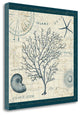 "Ocean Life IV" By Pela Err, Giclee Print on Gallery Wrap Canvas, Ready to Hang