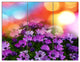 Beautiful Little Purple Flowers, Floral Triptych Canvas Print, 36x28, 3 Panels