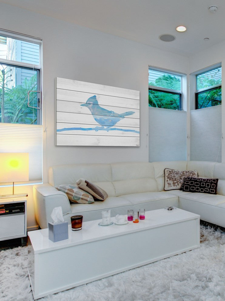 "Snow Jay" Print on White Wood, 45"x30"