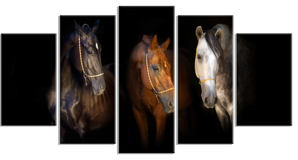 Three Horses with Golden Bridle, Animal Canvas Art Print, 60"x32", 5 Panels
