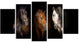 Three Horses with Golden Bridle, Animal Canvas Art Print, 60"x32", 5 Panels