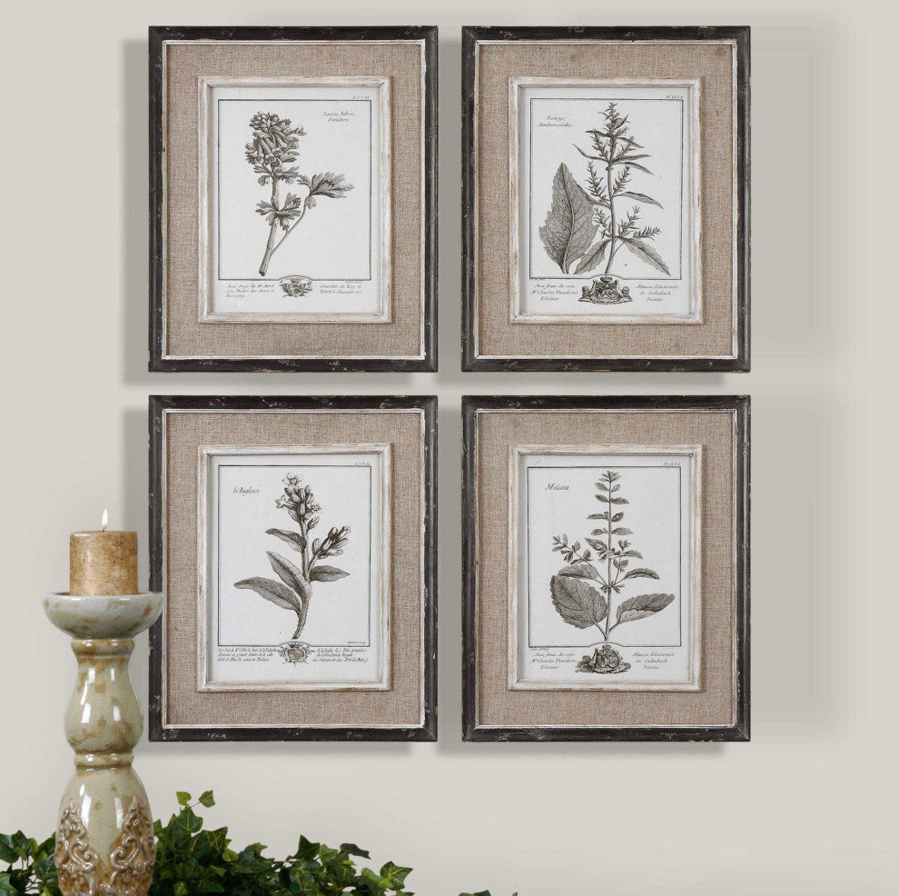 Uttermost 32510 Casual Grey Study Set of (4) Botanical Plant - Artwork