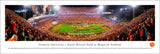 Clemson Tigers Football (50 Yd) - Unframed