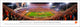 Clemson Tigers Football (50 Yd) - Unframed