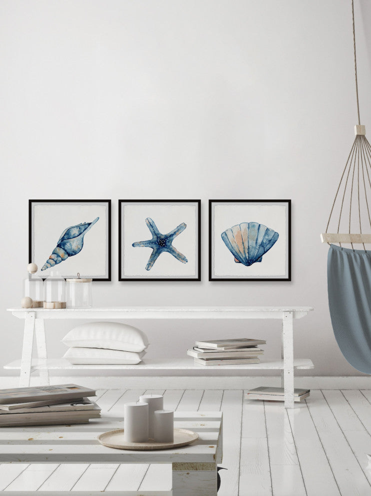Starfish and Shells Triptych, 3-Piece Set, 12x12 Panels