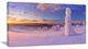"Frozen Trees on Mountain" Panorama Landscape Wall Art, 60"x28", 1 Panel