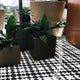 Oujda Handmade Cement Tile, Black/White, Sample