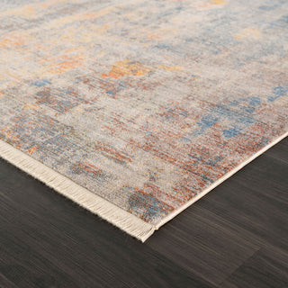 Distressed Desert Modern Area Rug, 7'9" X 10'