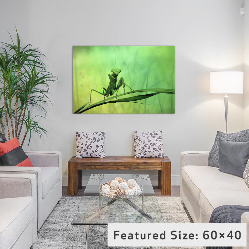 "Hi There!" by Jimmy Hoffman, 26x18x1.5
