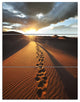 "Hiking Path in Desert at Sunset" Metal Wall Art, 3 Panels, 28"x36"