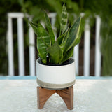 5.1" Opening Lava Ceramic On Wood Stand, Grey