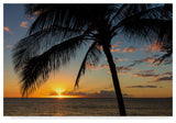 Pierre Leclerc 'Maui Sunset' Canvas Art, 32"x22"
