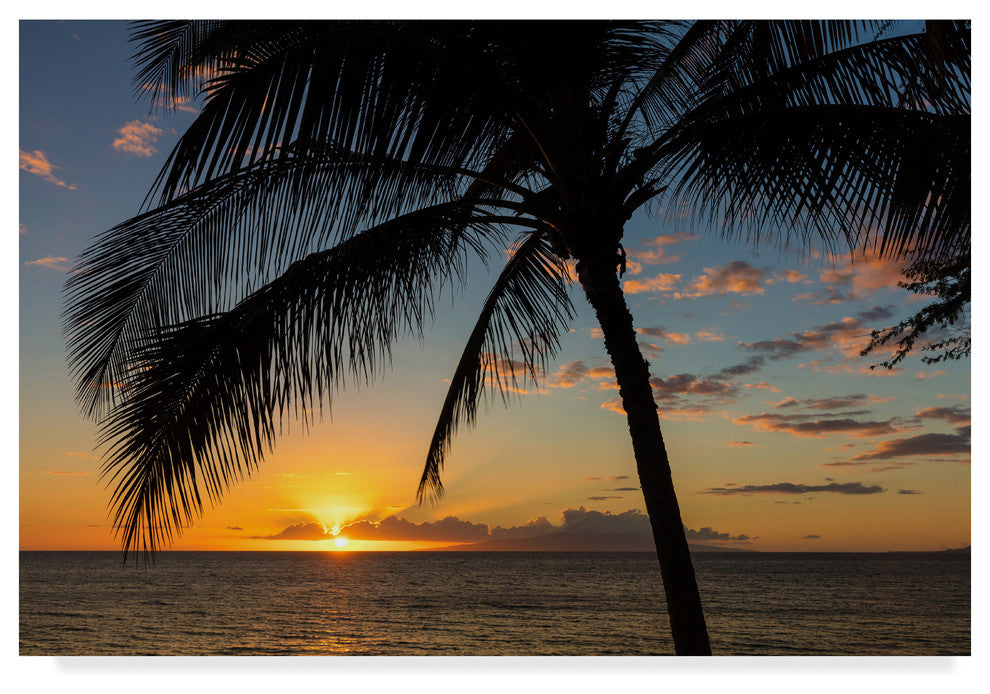 Pierre Leclerc 'Maui Sunset' Canvas Art, 32"x22"