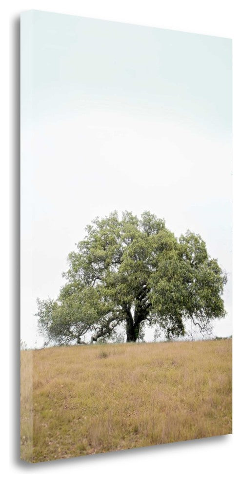 "Oak Tree - 73" By Alan Blaustein, Giclee Print on Gallery Wrap Canvas