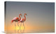 "Serenity Ii" Stretched Canvas Giclee by Anna Cseresnjes, 22x15"
