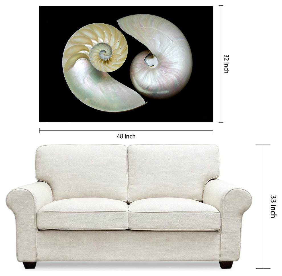 "Caracol" Frameless Free Floating Tempered Art Glass Wall Art 32 x 48"