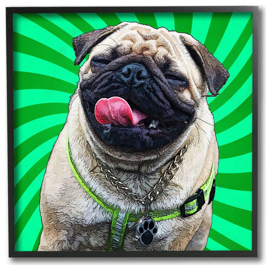 Happy Pug Portrait over Vibrant Green Spirals12x12