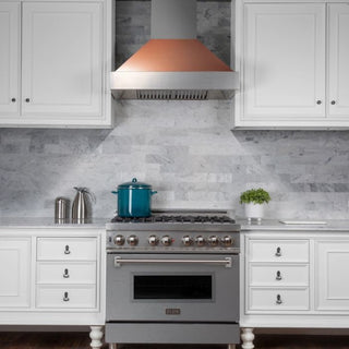 Ducted DuraSnow Stainless Steel Range Hood with Copper Shell