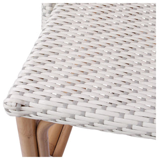 Avignon Paris Bistro Counter Stool