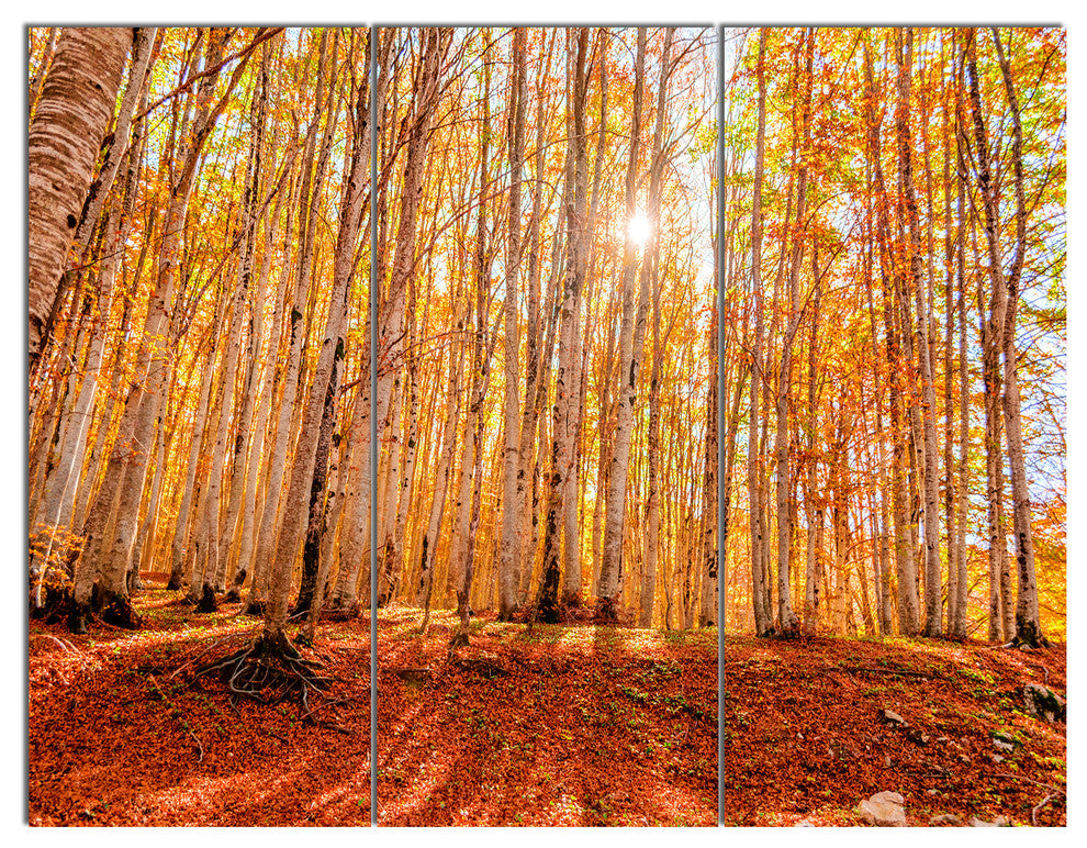 Colorful Red Forest at Sunset, Modern Forest Canvas Art, 36x28, 3 Panels