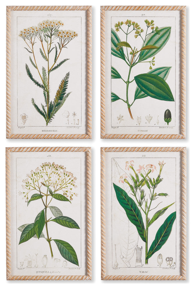 4-Piece Meadow Botanical Study Set