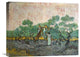"Women Picking Olives" Artwork, 22"x17"