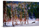 "Winter Scene" Wrapped Canvas Art Print, 48"x32"x1.5"