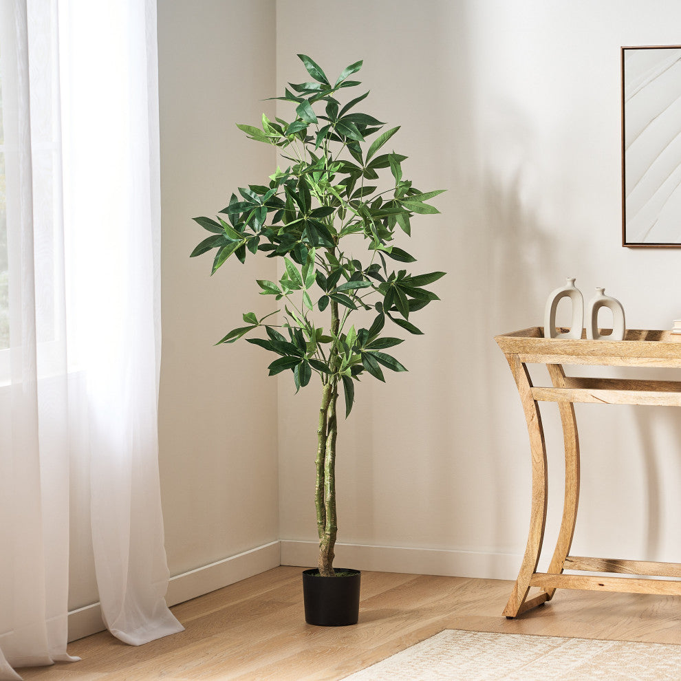 Coles Artificial Money Tree, Green, 31.5wx31.5dx63h