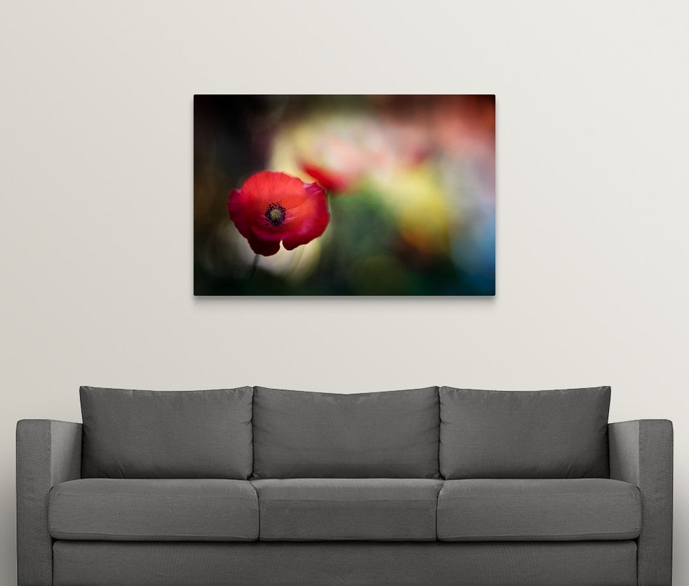 "Poppy" Wrapped Canvas Art Print, 48"x32"x1.5"