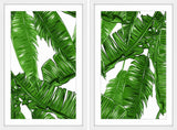 Callaway Diptych, 24x18