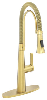 Single-Handle Spring Neck Standard Kitchen Faucet with Dual-Function, Brushed Gold