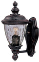 Carriage House DC 1-Light Outdoor Wall Lantern