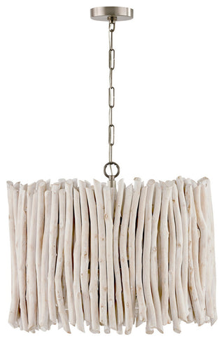 Capital Lighting Cara 4-Light Pendant 340241PP Brushed Pewter